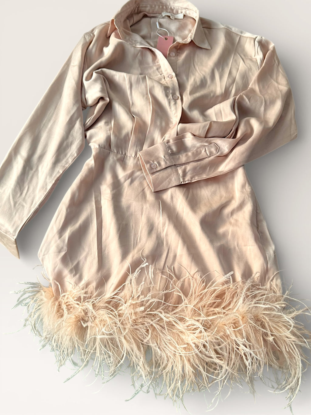 Feathered trim Satin Mini Dress