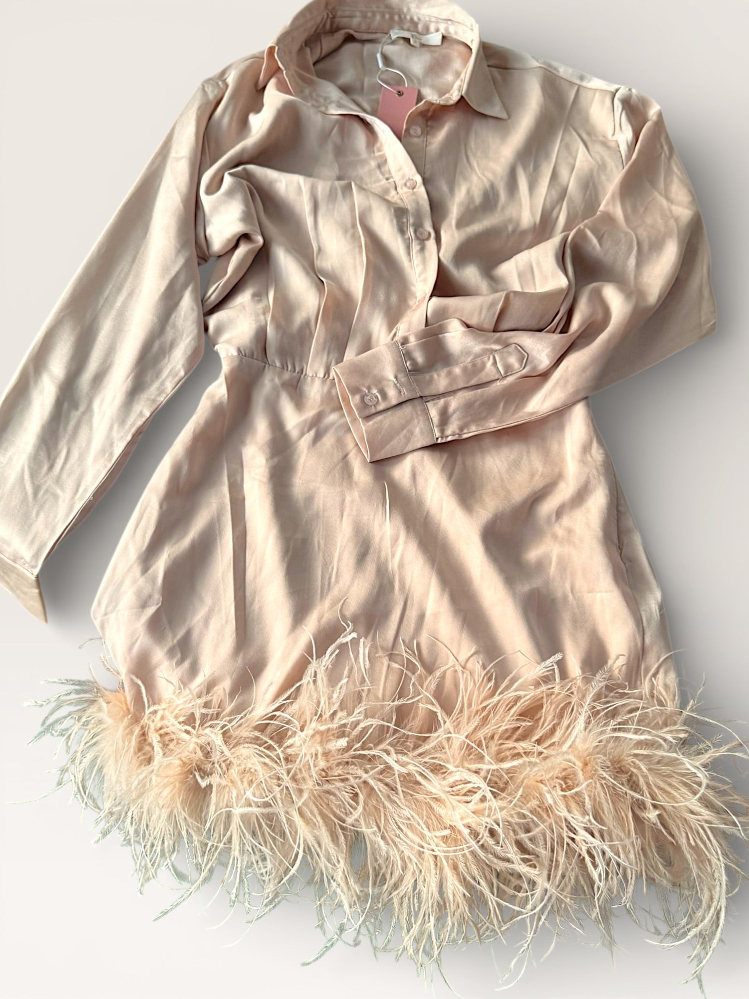 Feathered trim Satin Mini Dress