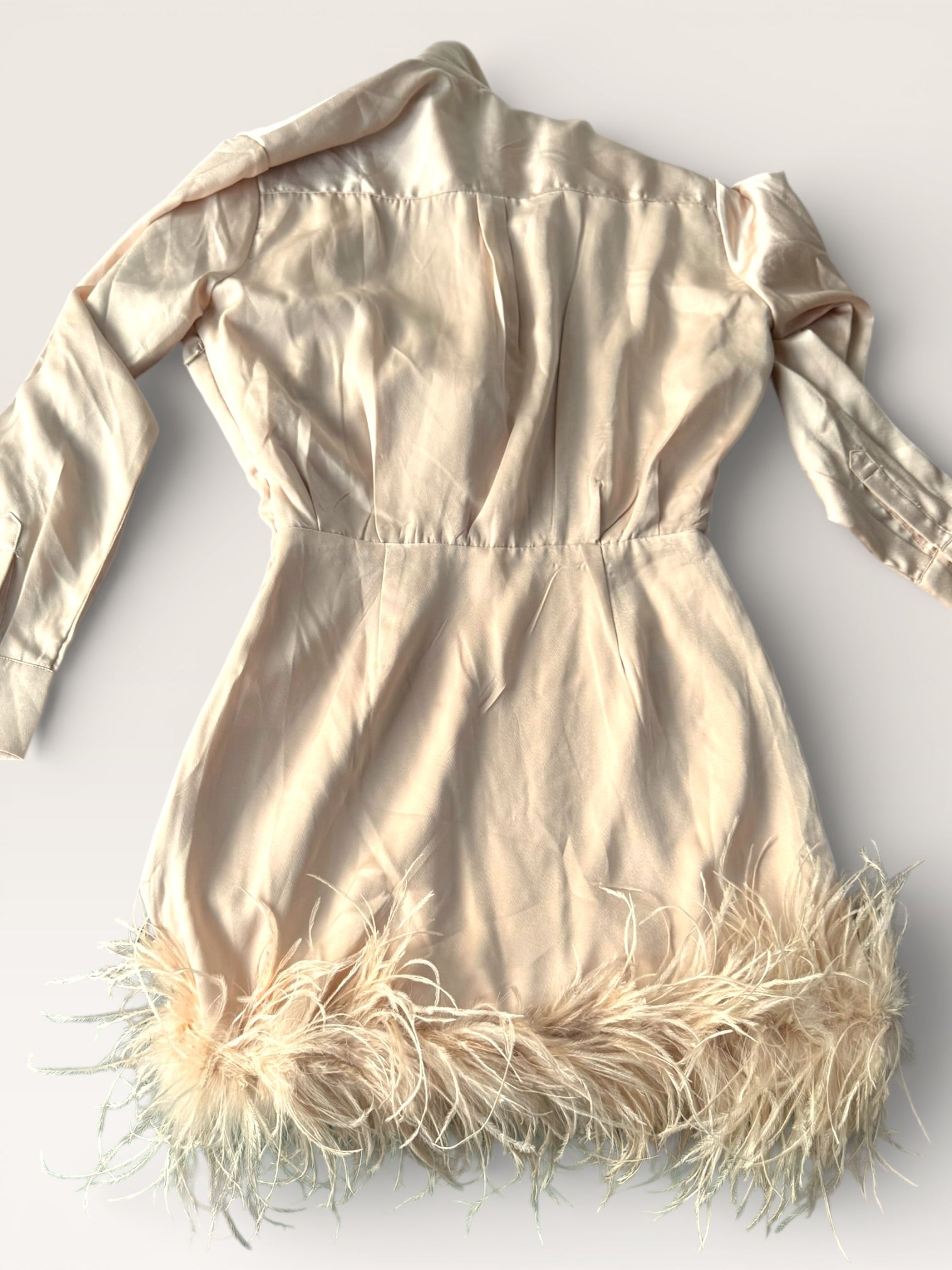 Feathered trim Satin Mini Dress