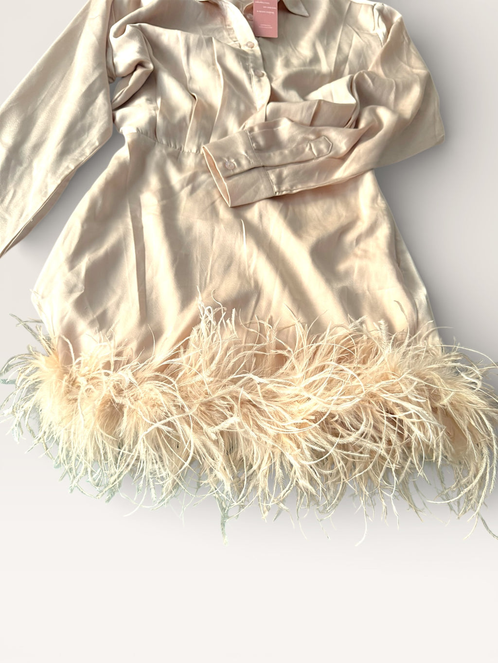 Feathered trim Satin Mini Dress