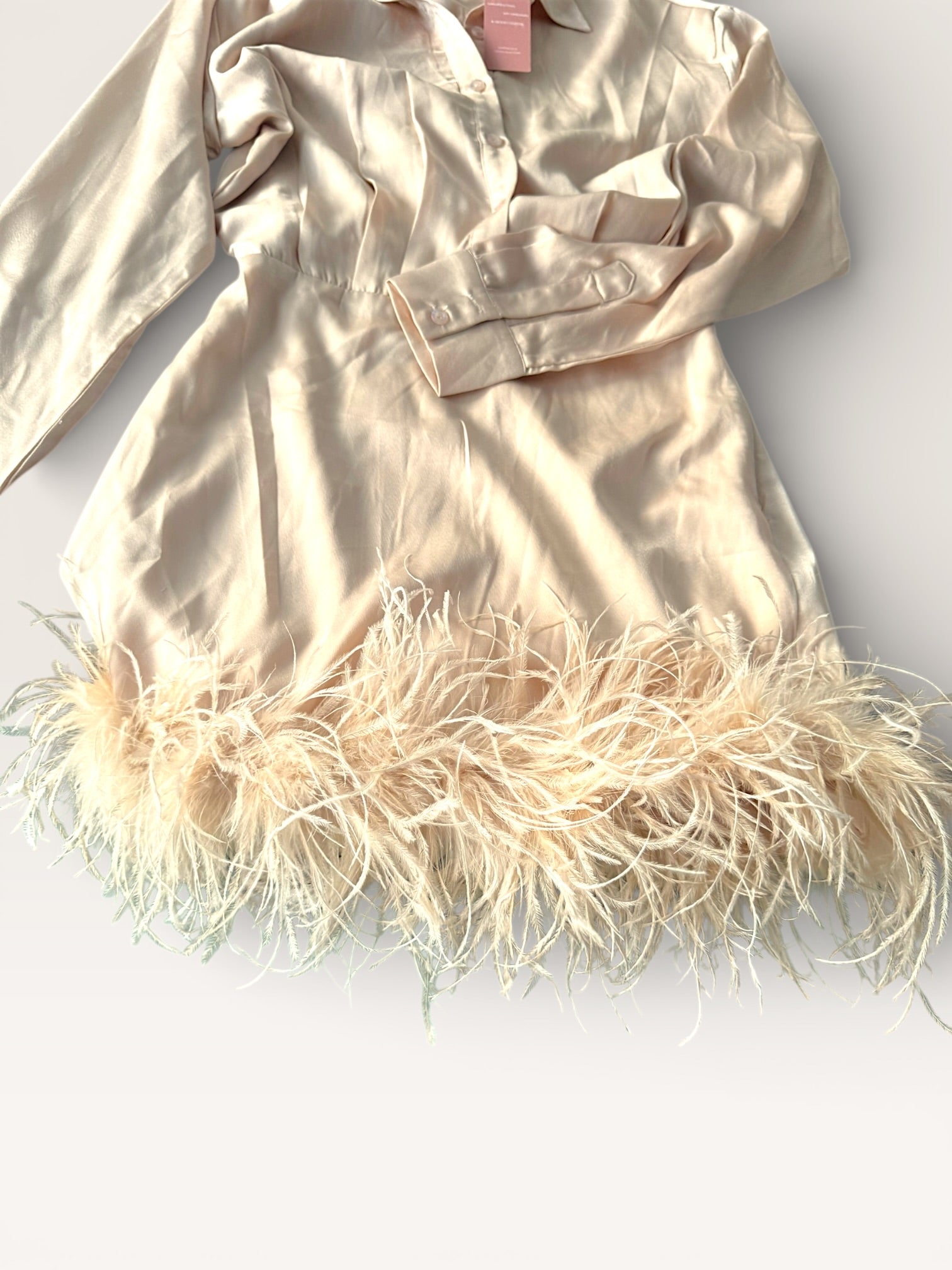 Feathered trim Satin Mini Dress